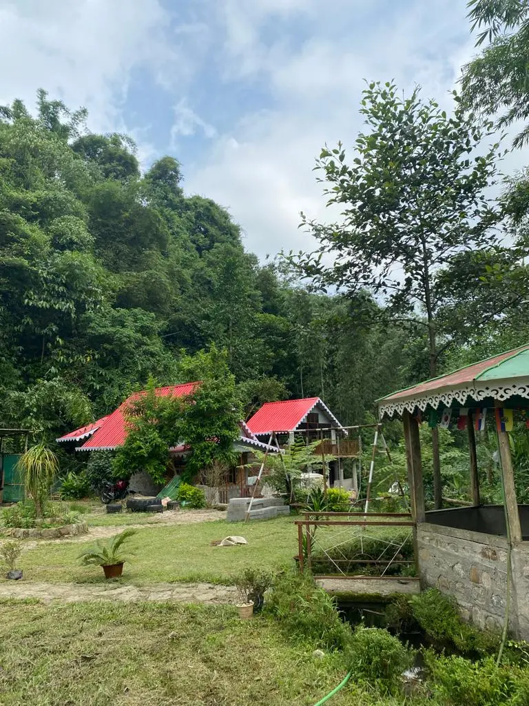 Enjoy in the swing and enjoy in the lawn