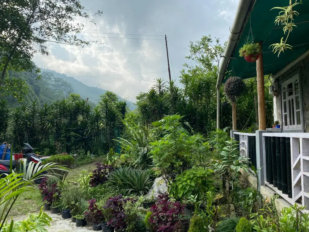 Lawn with a scenic view