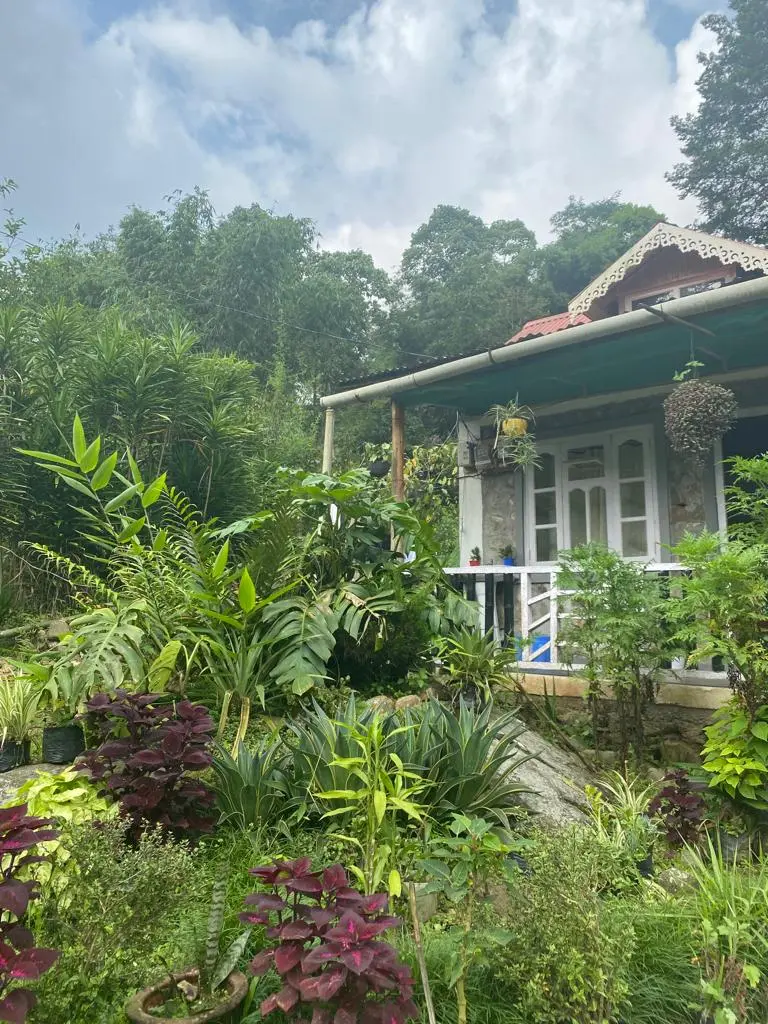 Homestay sorrounded with the nature and river